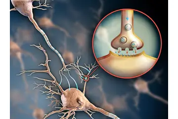 Dopamin Testi Nasıl Yapılır?
