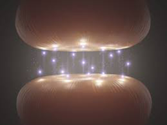 Dopamin Ne İşe Yarar?